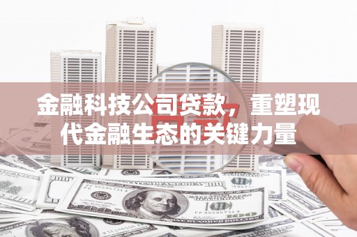 镇原金融科技公司贷款，重塑现代金融生态的关键力量