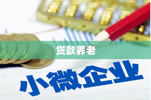 镇原贷款养老