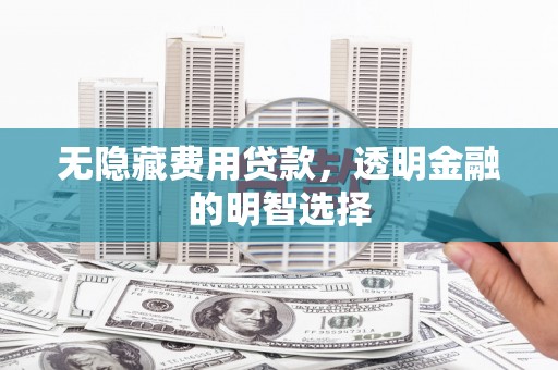 镇原无隐藏费用贷款，透明金融的明智选择