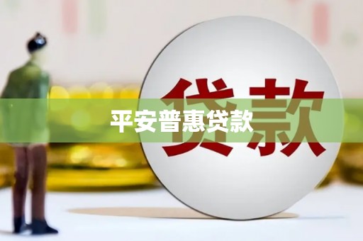 镇原平安普惠贷款