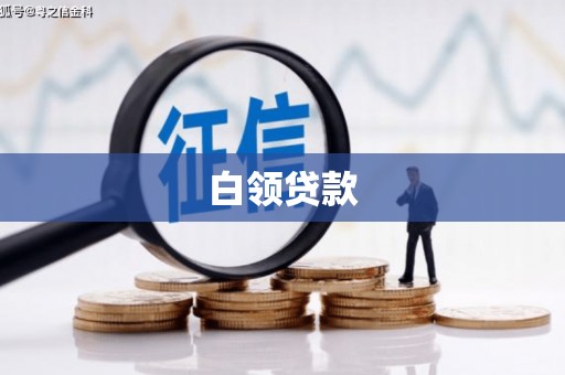镇原白领贷款