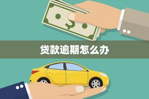 镇原贷款逾期怎么办
