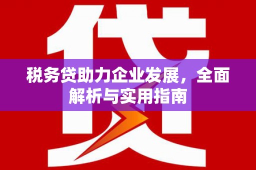 镇原税务贷助力企业发展，全面解析与实用指南