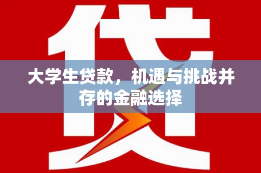 镇原大学生贷款，机遇与挑战并存的金融选择