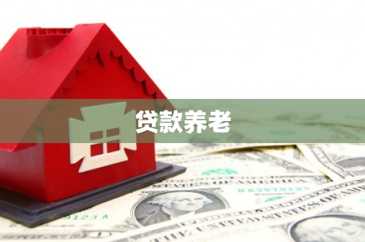 镇原贷款养老
