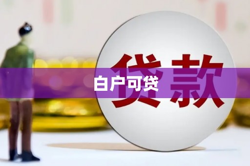 镇原白户可贷