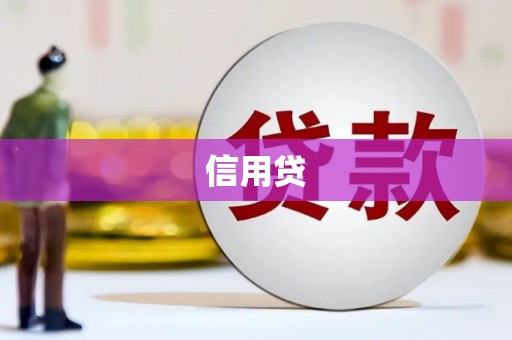 镇原信用贷