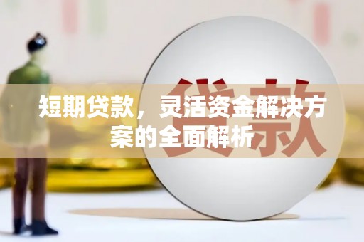 镇原短期贷款，灵活资金解决方案的全面解析