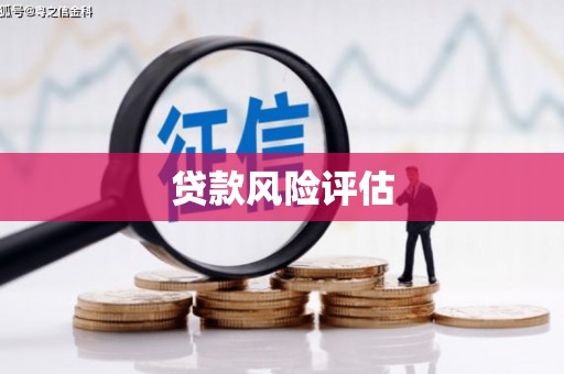 镇原贷款风险评估