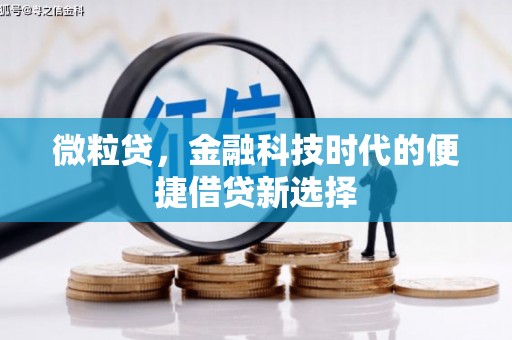 镇原微粒贷，金融科技时代的便捷借贷新选择