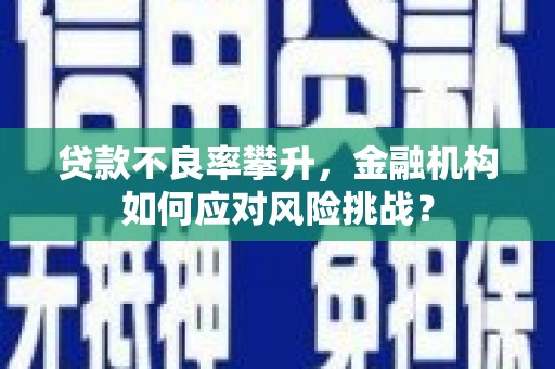 镇原贷款不良率攀升，金融机构如何应对风险挑战？