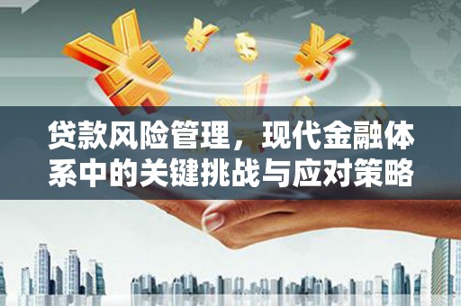 镇原贷款风险管理，现代金融体系中的关键挑战与应对策略