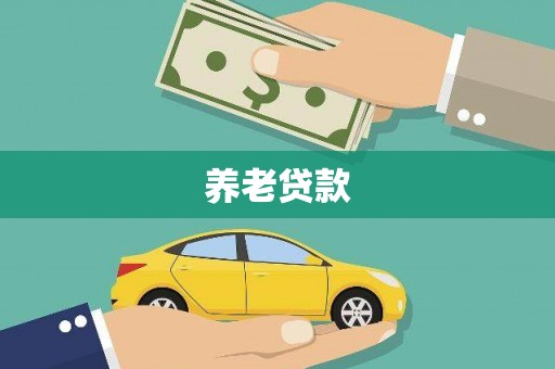 镇原养老贷款