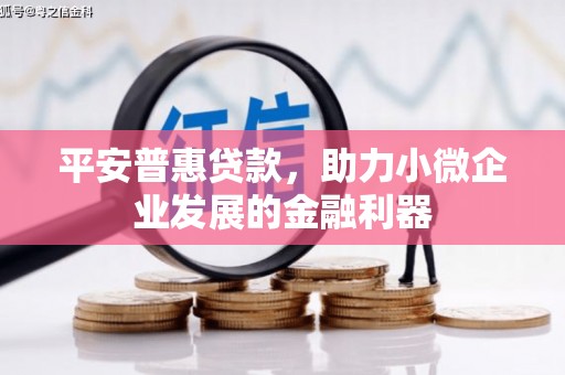 镇原平安普惠贷款，助力小微企业发展的金融利器