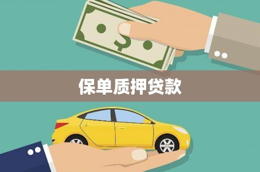 镇原保单质押贷款