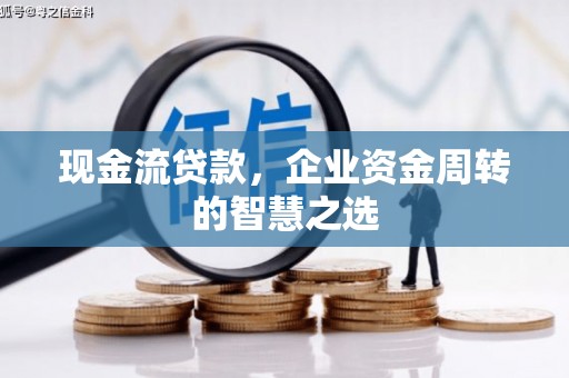 镇原现金流贷款，企业资金周转的智慧之选