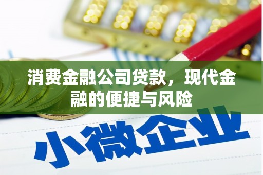 镇原消费金融公司贷款，现代金融的便捷与风险