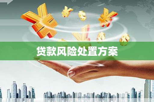 镇原贷款风险处置方案