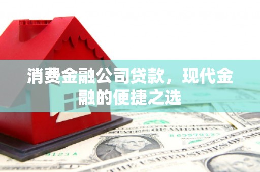 镇原消费金融公司贷款，现代金融的便捷之选