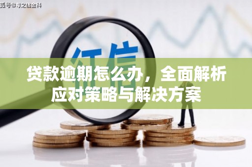 镇原贷款逾期怎么办，全面解析应对策略与解决方案