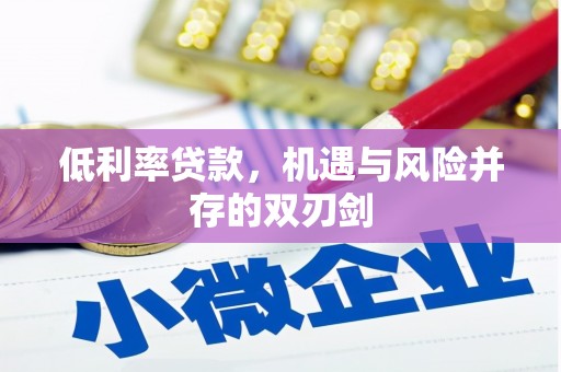 镇原低利率贷款，机遇与风险并存的双刃剑