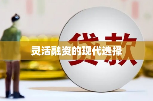 镇原灵活融资的现代选择