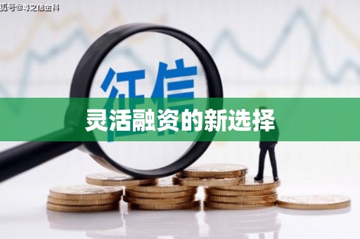 镇原灵活融资的新选择