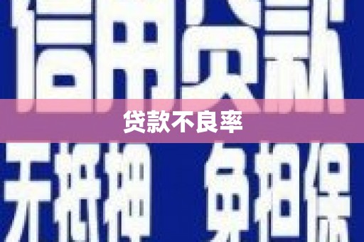 镇原贷款不良率