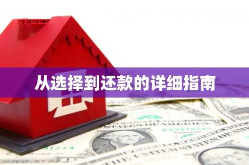 镇原从选择到还款的详细指南