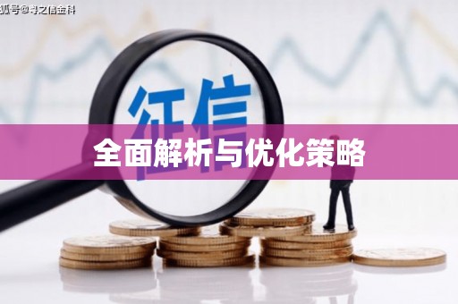 镇原全面解析与优化策略