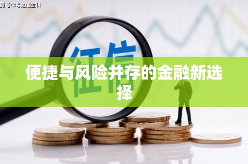镇原便捷与风险并存的金融新选择