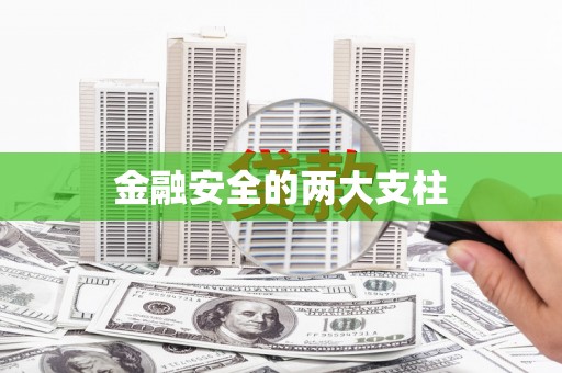 镇原金融安全的两大支柱