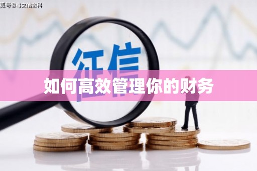 镇原如何高效管理你的财务