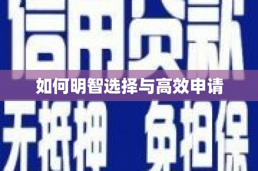 镇原如何明智选择与高效申请