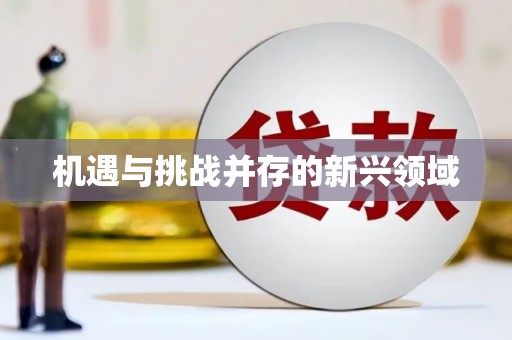 镇原机遇与挑战并存的新兴领域