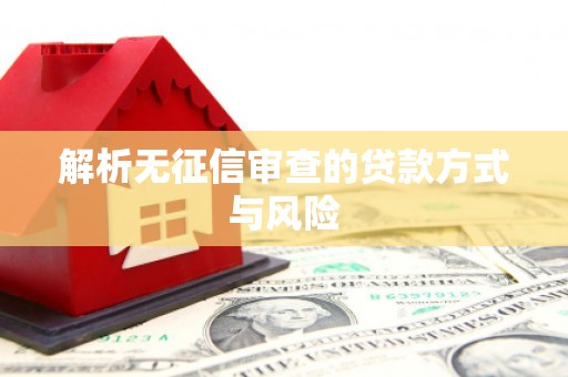 镇原解析无征信审查的贷款方式与风险