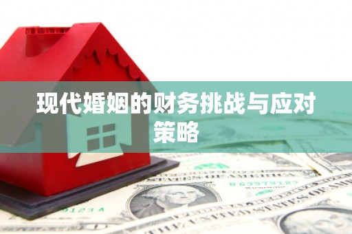 镇原现代婚姻的财务挑战与应对策略