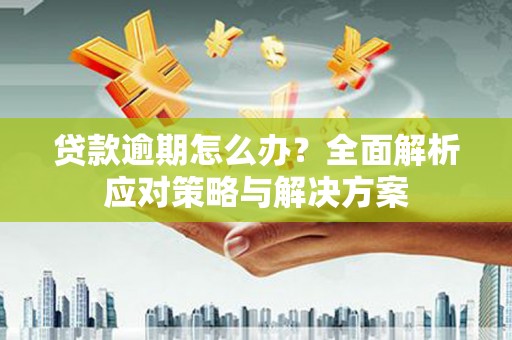 镇原贷款逾期怎么办？全面解析应对策略与解决方案