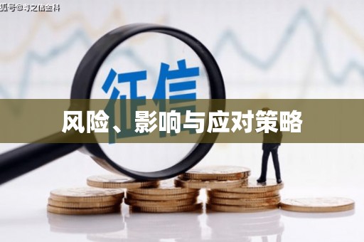 镇原风险、影响与应对策略