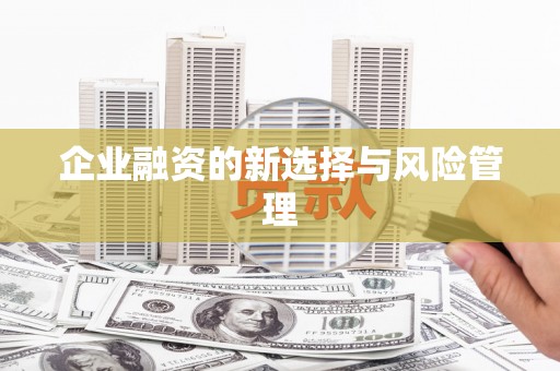 镇原企业融资的新选择与风险管理