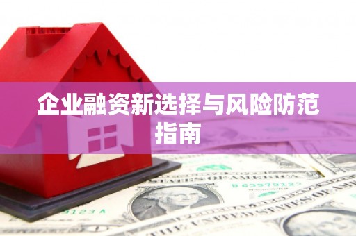 镇原企业融资新选择与风险防范指南