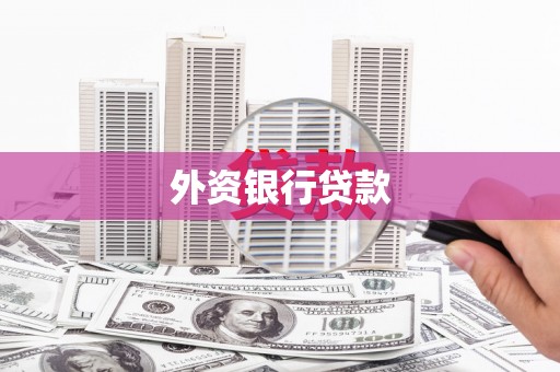 镇原外资银行贷款