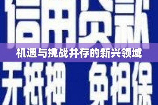 镇原机遇与挑战并存的新兴领域