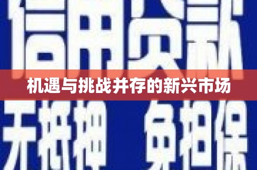 镇原机遇与挑战并存的新兴市场