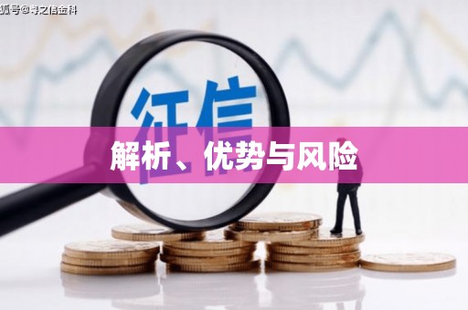 镇原解析、优势与风险