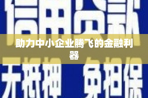 镇原助力中小企业腾飞的金融利器