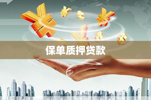 镇原保单质押贷款