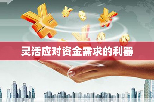 镇原灵活应对资金需求的利器