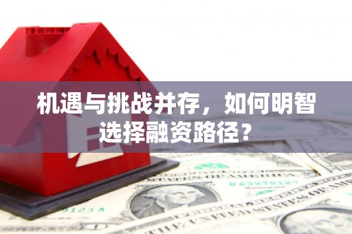 镇原机遇与挑战并存，如何明智选择融资路径？