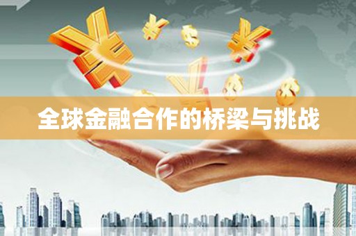 镇原全球金融合作的桥梁与挑战